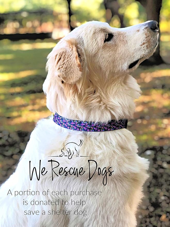 Lucky Love Dog, Matching Dog Collar & Leash Set for Female Dogs, Soft, Adjustable, Safe for Training and Walking, Black & Purple Floral Print, Primrose Combo, Large