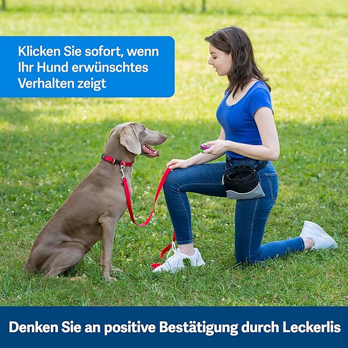 Kurgo Enhanced Strength Tru-Fit Dog Car Harness - Pet Travel Safety Harness - Crash Test Certified Fit - Five Point Adjustment - Secure Buckle - Padded Chest - Charcoal - Large