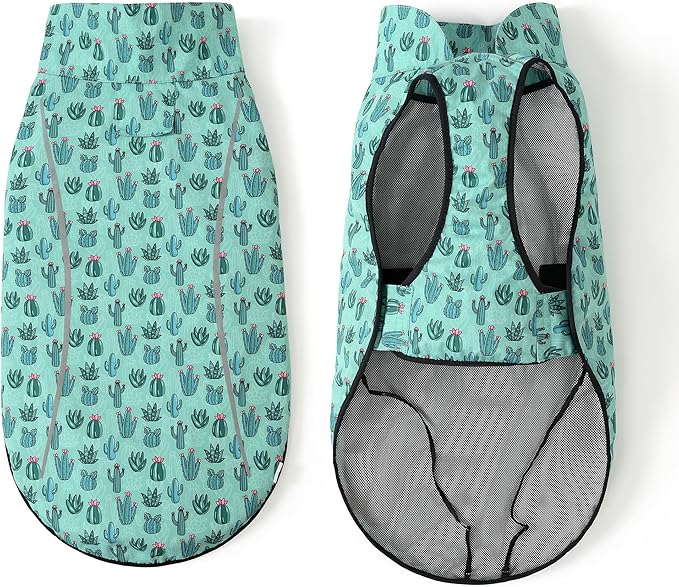 Mile High Life Dog Raincoat, Adjustable Waterproof Reflective Rain Jacket for Small Medium Large Dogs, Lightweight Breathable Pet Rain Coat with Leash Hole(Green Cactus,XS Chest 17-23")