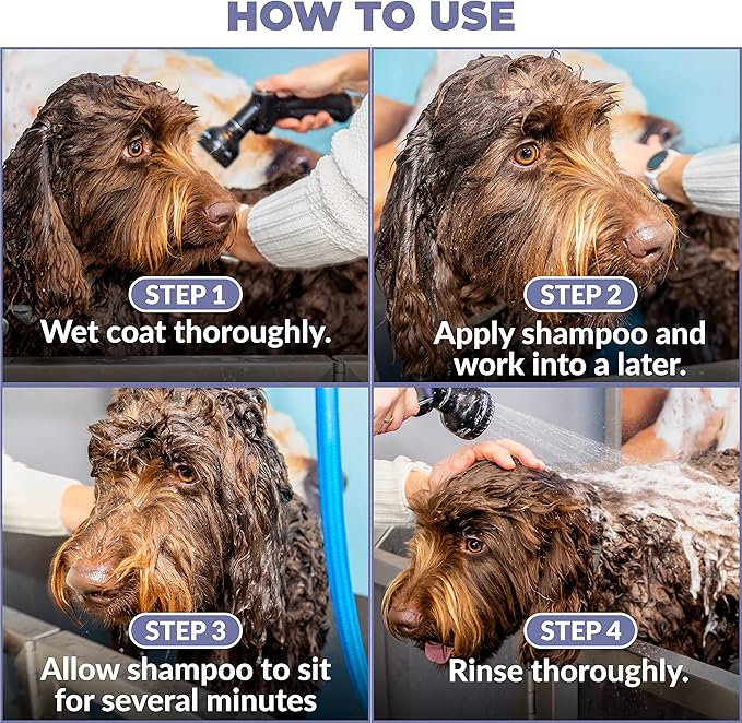 Puppy Shampoo & Conditioner | Made in USA | Tear Free | Best Shampoo for Puppies | Sensitive & Itchy Skin Wash | Oatmeal Bathing | Tearless, Lavender, 8oz [We Love Doodles]