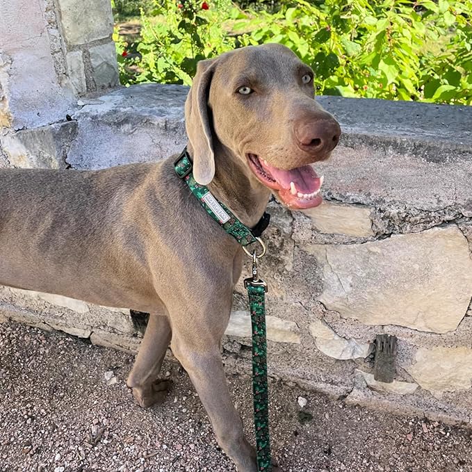 Lucky Love Dog - Easy Click Holly Dog Collar with Leash Set Combo, Durable & Comfortable for Male & Female Dogs, Pet Collar for Small to Large Dogs, Secure Fit - Holly Combo, Small