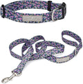 Lucky Love Dog, Matching Dog Collar & Leash Set for Female Dogs, Soft, Adjustable, Safe for Training and Walking, Black & Purple Floral Print, Primrose Combo, Small