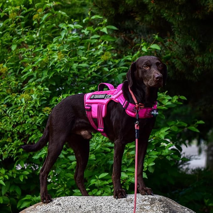 Tactical Dog Harness Medium Sized, Heavy Duty No Pull Dog Harness with Handle, Easy On and Off Service Dog Vest with Molle System, Reflective Pet Vest for Walking Hiking Training