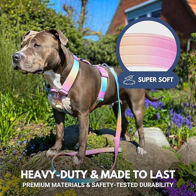 Spark Paws No Pull Dog Harness for Large Dogs, Heavy Duty Dog Harness for Big Strong Breeds, Adjustable, Y Shaped Padded Halter Design with Front Clip - Pastel Icing - M