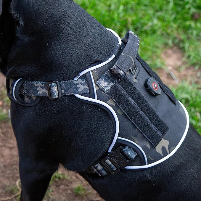 Ragnarok Multicam Black Tactical Dog Harness with LED Light, MOLLE Panels, Durable Luxury Vets, Service Dog Vest Small, Medium, XL, XXL Dogs
