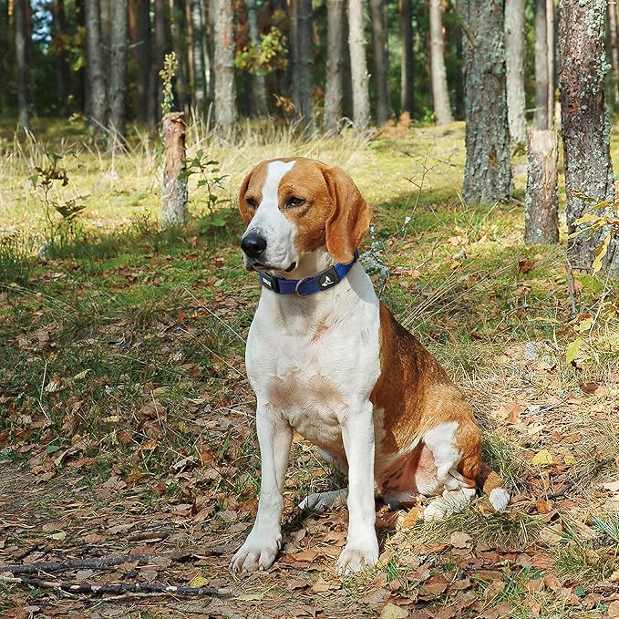 Kruz Dog Collar for Large Dogs (Width- 1.5", Neck - 20.5"-31.5") Adjustable Pet Neck Band with Comfortable Soft Padding, Lifetime Durability, Heavy-Duty O-Ring (Raspberry Pink, X-Large)