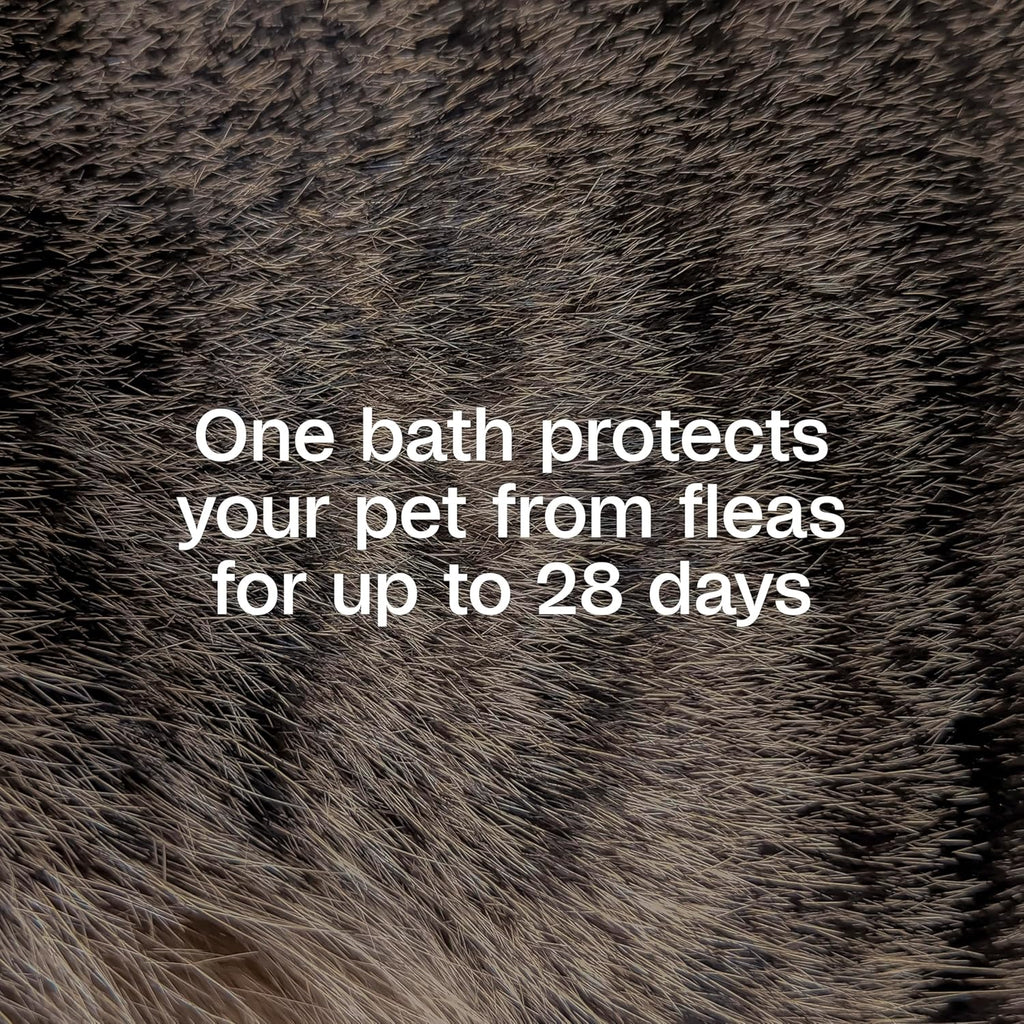 Adams Plus Flea & Tick Shampoo with Precor for Cats, Kittens, Dogs & Puppies Over 12 Weeks Of Age |Sensitive Skin Flea Treatment |Kills Adult Fleas, Flea Eggs, Ticks, and Lice |24 Oz, Pump Included