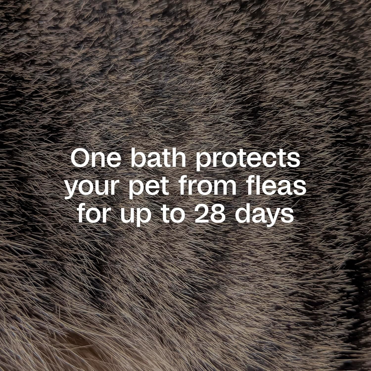 Adams Plus Flea & Tick Shampoo with Precor for Cats, Kittens, Dogs & Puppies Over 12 Weeks Of Age |Sensitive Skin Flea Treatment |Kills Adult Fleas, Flea Eggs, Ticks, and Lice |24 Oz, Pump Included